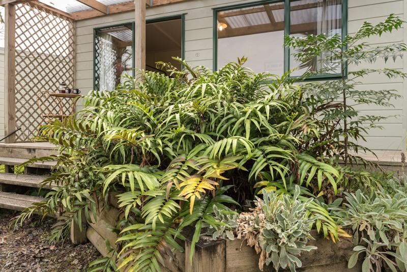 Russell-Orongo Bay Holiday Park Bagian luar foto